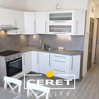 Pronájem bytu 1+1 36 m² Žatec, Volyňských Čechů