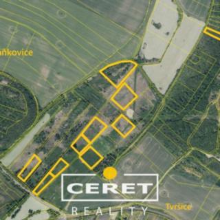 Prodej zemědělské půdy 45996 m² Staňkovice
