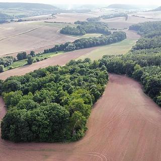 Prodej ostatních pozemků 26115 m² Pozdeň