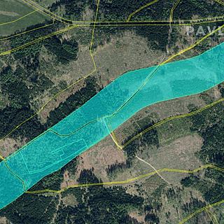 Prodej lesa 126 160 m² Jiříkov