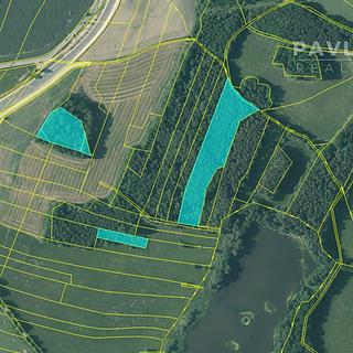 Prodej lesa 25 076 m² Stráž nad Nežárkou Dolní Lhota