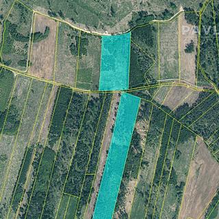Prodej lesa 103 270 m² Jetětice
