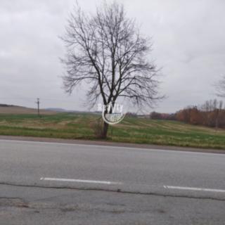 Prodej zemědělské půdy 10 348 m² Batelov