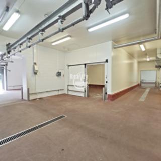 Pronájem skladu 5000 m² Hodice