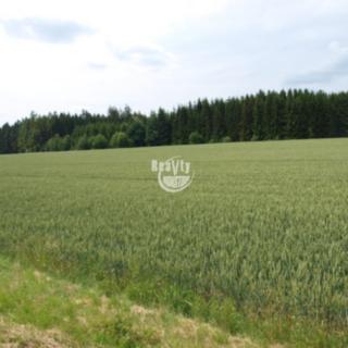 Prodej zemědělské půdy 29 952 m² Batelov