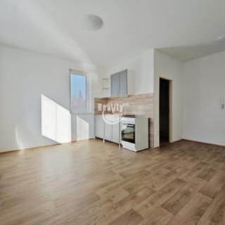Pronájem bytu 1+kk a garsoniéry 24 m² Jihlava Horní Kosov, Letní