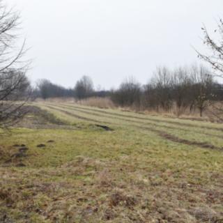 Prodej louky 1 685 m² Velký Třebešov
