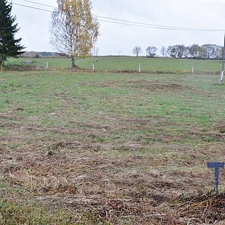 Prodej stavební parcely 2 398 m² Borovnice