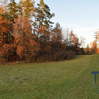 Prodej louky 1033 m² Bílá Třemešná