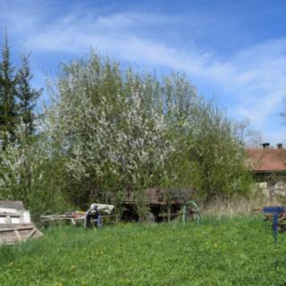 Prodej stavební parcely 1 868 m² Jičín Hubálov