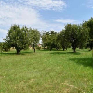 Prodej zahrady 5 122 m² Rychnovek Zvole