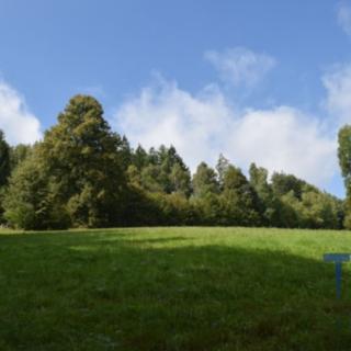 Prodej ostatních pozemků 13052 m² Suchovršice