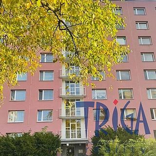 Prodej bytu 3+1, 71m²