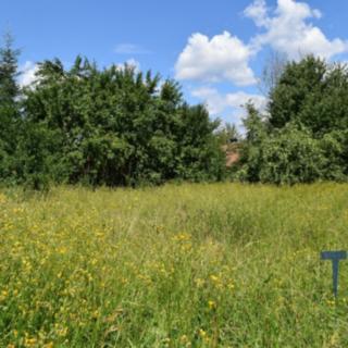 Prodej stavební parcely 1868 m² Jičín