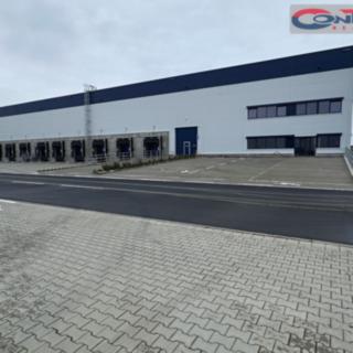 Pronájem skladu 19 200 m² Hladké Životice, Kujavská