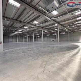 Pronájem skladu 23 919 m² České Budějovice 7, Stradonická