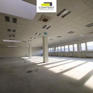 Pronájem výrobního objektu 5000 m² Přimda