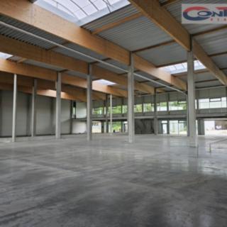 Pronájem výrobního objektu 6000 m² Ostrava