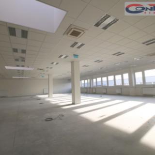 Pronájem výrobního objektu 5 000 m² Přimda Mlýnec