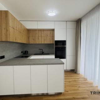 Pronájem bytu 2+kk 58 m² Ostrava Moravská, F. X. Riepla