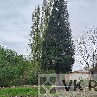 Prodej stavební parcely 1 223 m² Dubí Pozorka, Tyršova