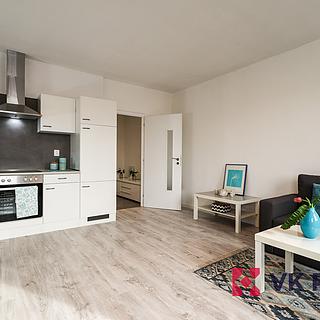 Prodej bytu 1+kk, garsoniery 31 m&sup2; Plzeň