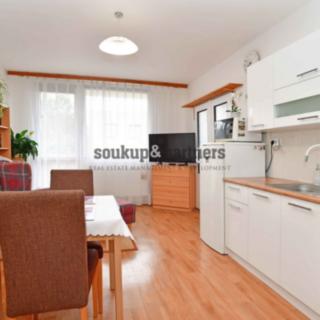 Pronájem bytu 1+1 57 m² Praha