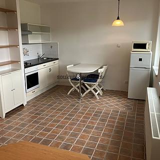 Pronájem bytu 1+kk a garsoniéry 27 m² Praha Braník, Za mlýnem