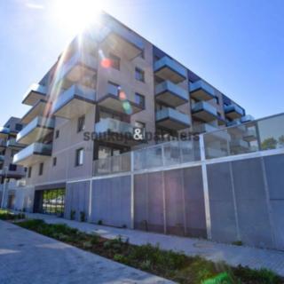 Prodej bytu 1+kk a garsoniéry 34 m² Praha, Čakovická