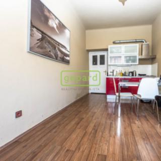 Pronájem bytu 1+1 41 m² Praha Holešovice, U Uranie