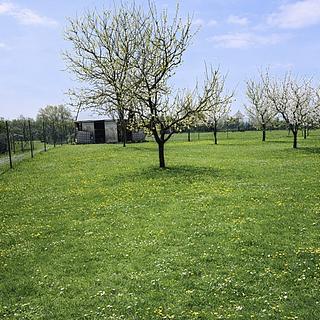 Prodej ostatního pozemku 878 m² Turovice