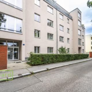 Pronájem bytu 1+1 46 m² Praha