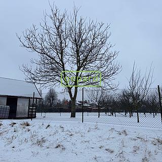 Prodej ostatních pozemků 878 m&sup2; Turovice