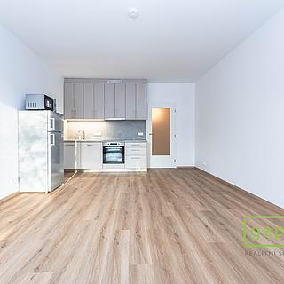 Pronájem bytu 1+kk, garsoniery 34 m&sup2; Praha