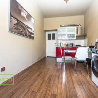 Pronájem bytu 1+1 41 m² Praha Holešovice, U Uranie