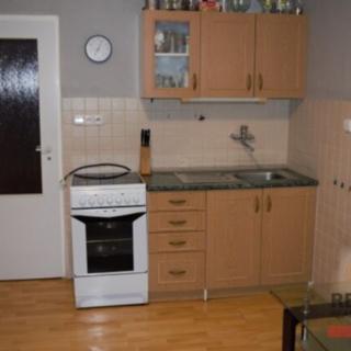 Pronájem bytu 1+kk a garsoniéry 30 m² Kladno Kročehlavy, Dánská
