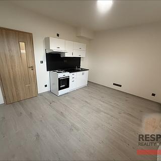 Pronájem bytu 1+kk a garsoniéry 23 m² Strančice