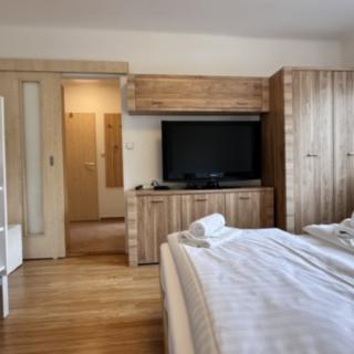 Pronájem bytu 1+1 31 m² Lipno nad Vltavou