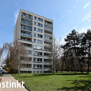 Pronájem bytu 1+1 34 m² Praha Žižkov, Habrová