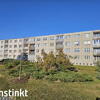 Pronájem bytu 3+1 61 m² Bor, Přimdská