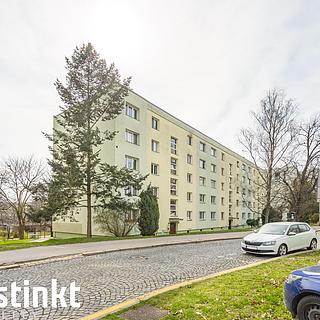 Pronájem bytu 2+1 52 m² Praha Žižkov, K lučinám
