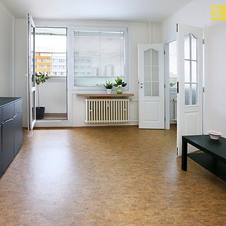 Prodej bytu 1+1 41 m² Praha