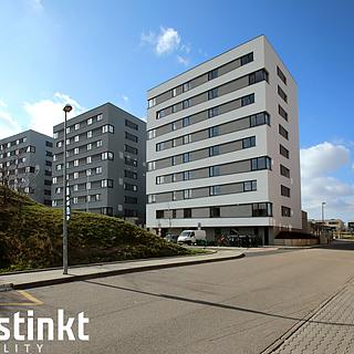 Pronájem bytu 2+kk 47 m² Praha Černý Most, Cukrova