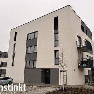 Pronájem bytu 1+kk a garsoniéry 759 m² Plzeň Litice, Hrachová