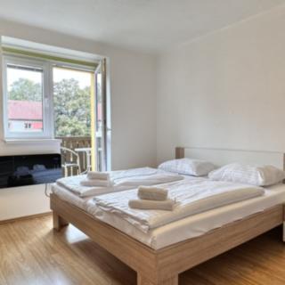 Pronájem bytu 1+1 31 m² Lipno nad Vltavou
