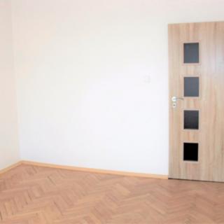 Pronájem bytu 1+1 47 m² České Budějovice 3, Plzeňská