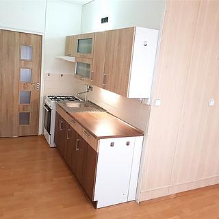 Pronájem bytu 1+1 47 m² České Budějovice 3, Plzeňská