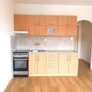 Pronájem bytu 1+1 40 m² České Budějovice