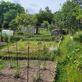 Prodej zahrady 387 m² Beroun Beroun-Město