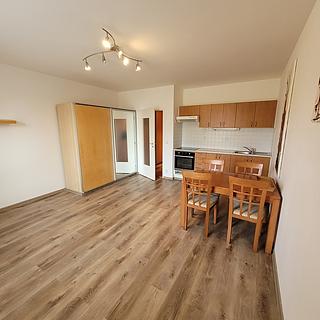 Pronájem bytu 1+kk a garsoniéry 33 m² Beroun Beroun-Město, Pod Homolkou